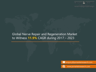 Nerve Repair and Regeneration Market Explores New Growth Opportunities
