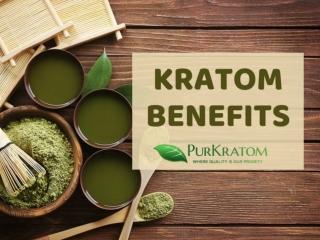 The Best Kratom Supplier - PurKratom