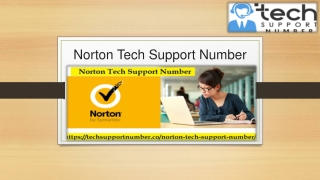 Norton Antivirus Tech Number