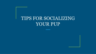 TIPS FOR SOCIALIZING YOUR PUP