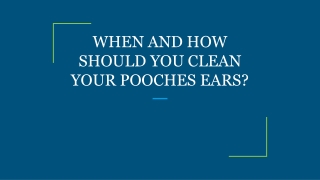 WHEN AND HOW SHOULD YOU CLEAN YOUR POOCHES EARS?
