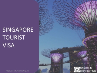 Singapore Visa Process and Documents Required