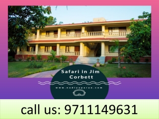Safari in Jim Corbett