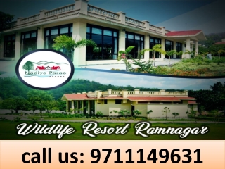 Wildlife Resort Ramnagar