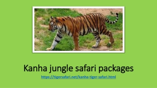 Kanha Jungle Safari Packages