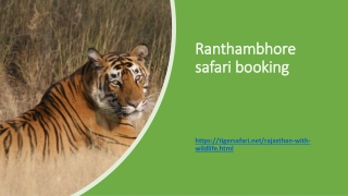 Ranthambhore safari booking