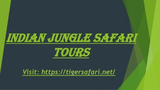 Indian jungle safari tours