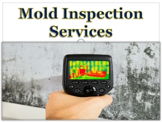 Mold Inspection Services