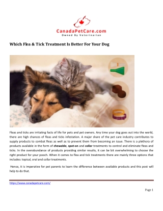 Best Flea & Tick Treatment For Your Dog in chewable, topical and collars