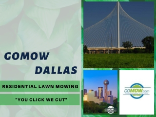 GoMow – The best Dallas lawn care service in TX