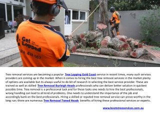 Arborist Tweed Heads & Tree Lopping Gold Coast