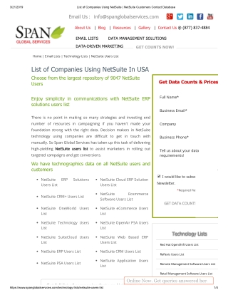 NetSuite Customers Mailing List - Span Global Services