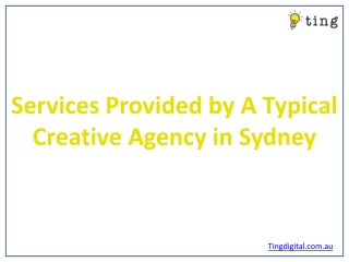 Services Provided by A Typical Creative Agency in Sydney