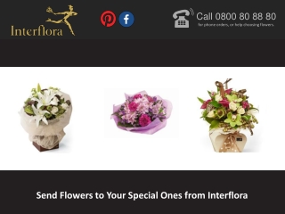 Send Flowers to Your Special Ones from Interflora