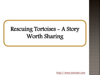 Rescuing Tortoises - A Story Worth Sharing