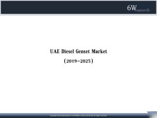 UAE Industrial Diesel Generator Market Size (2019-2025)- 6wresearch