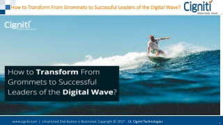 How to Transform From Grommets to Successful Leaders of the Digital Wave?