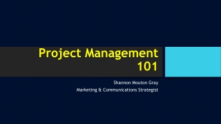 Project Management 101