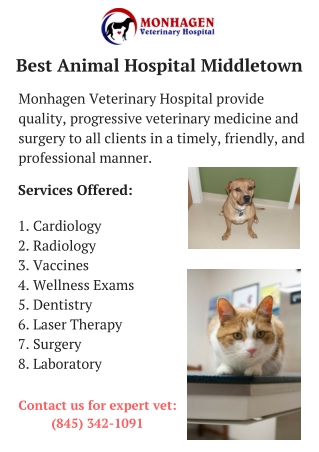 Best Veterinarians in Middletown