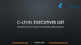 Where can I find US targeted C-Level Executives Database that can bring leads?