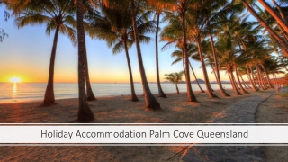 Holiday Accommodation Palm Cove Queensland
