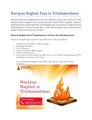 Narayan Nagbali Puja in Trimbakeshwar