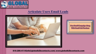 Articulate Users Email Leads