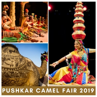 pushkar camel fair 2019