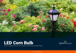 Energy Efficient LED Outdoor Corn Bulbs