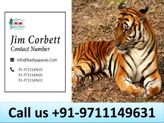 Jim Corbett Contact Number