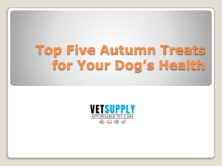 Top Five Autumn Treats for Your Dog’s Health