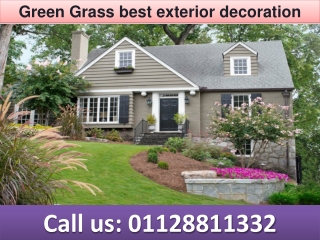 Green Grass best exterior decoration