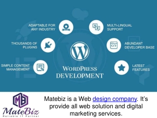 Benefits Of Custom Wordpress Development With Matebiz