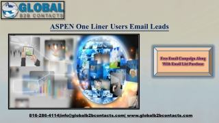 ASPEN OneLiner Users Email Leads