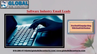 Software Industry Email Leads