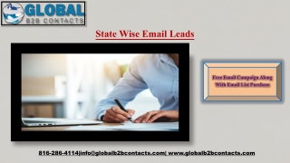 State Wise Email Leads