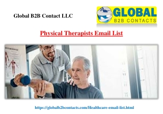 Physical Therapists Email List