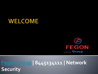 Fegon Group | 8445134111 | Network Security