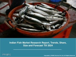 Indian Fish Market Research Report, Market Share, Size, Trends, Forecast Till 2024