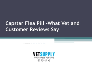 Capstar Flea Pill –What Vet and Customer Reviews Say