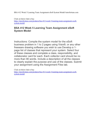 BSA 412 Week 5 Learning Team Assignment eSoft System Model//tutorfortune.com