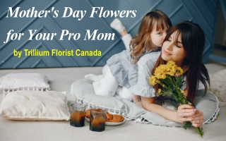 Mother's Day Flowers by Trillium Florist Canada