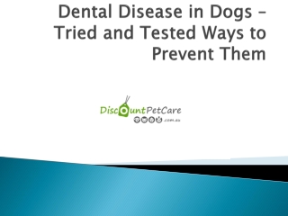 Dental Disease in Dogs – Tried and Tested Ways to Prevent Them