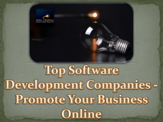 Top Software Development Companies - Promote Your Business Online