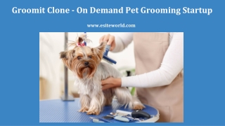 Groomit Clone - On Demand Pet Grooming Startup