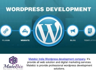 Choosing Wordpress Development For Business Sites - Matebiz India