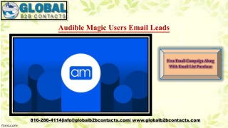 Audible Magic Users Email Leads