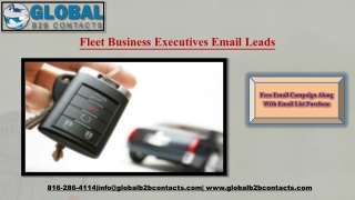 Fleet Business Executives Email Leads