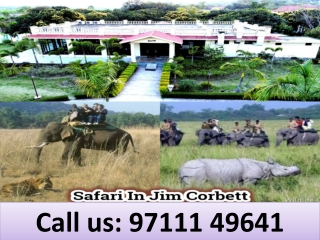 safari in Jim Corbett