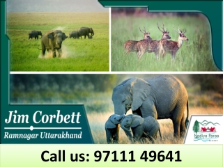 Jim Corbett Contact Number